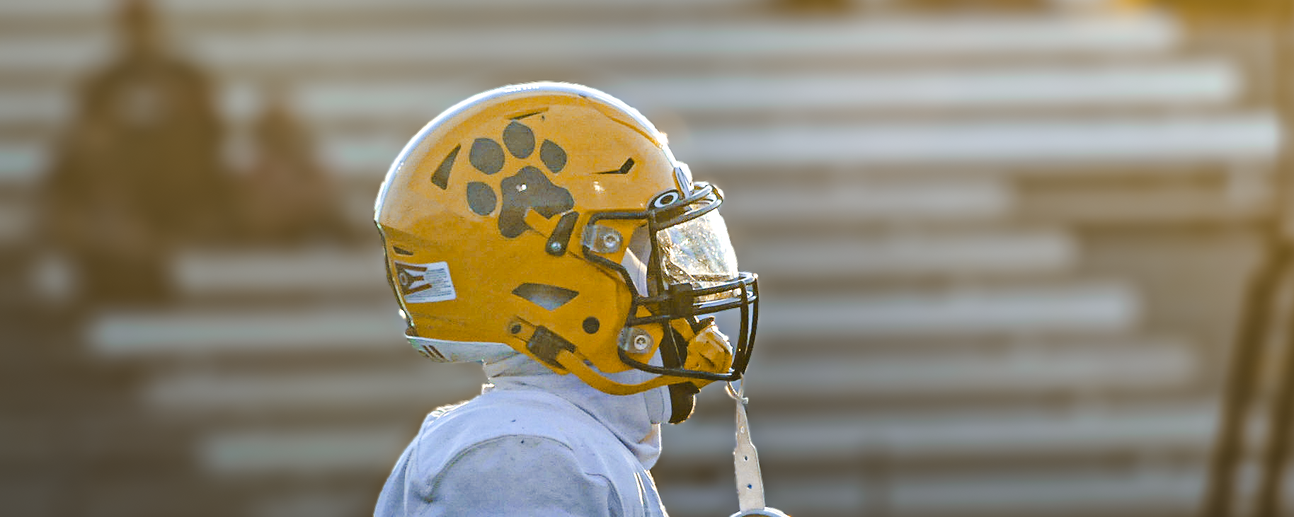 A Confident Leader: Tom Kaufman’s Wildcats Have A New Profound Spark On The Gridiron